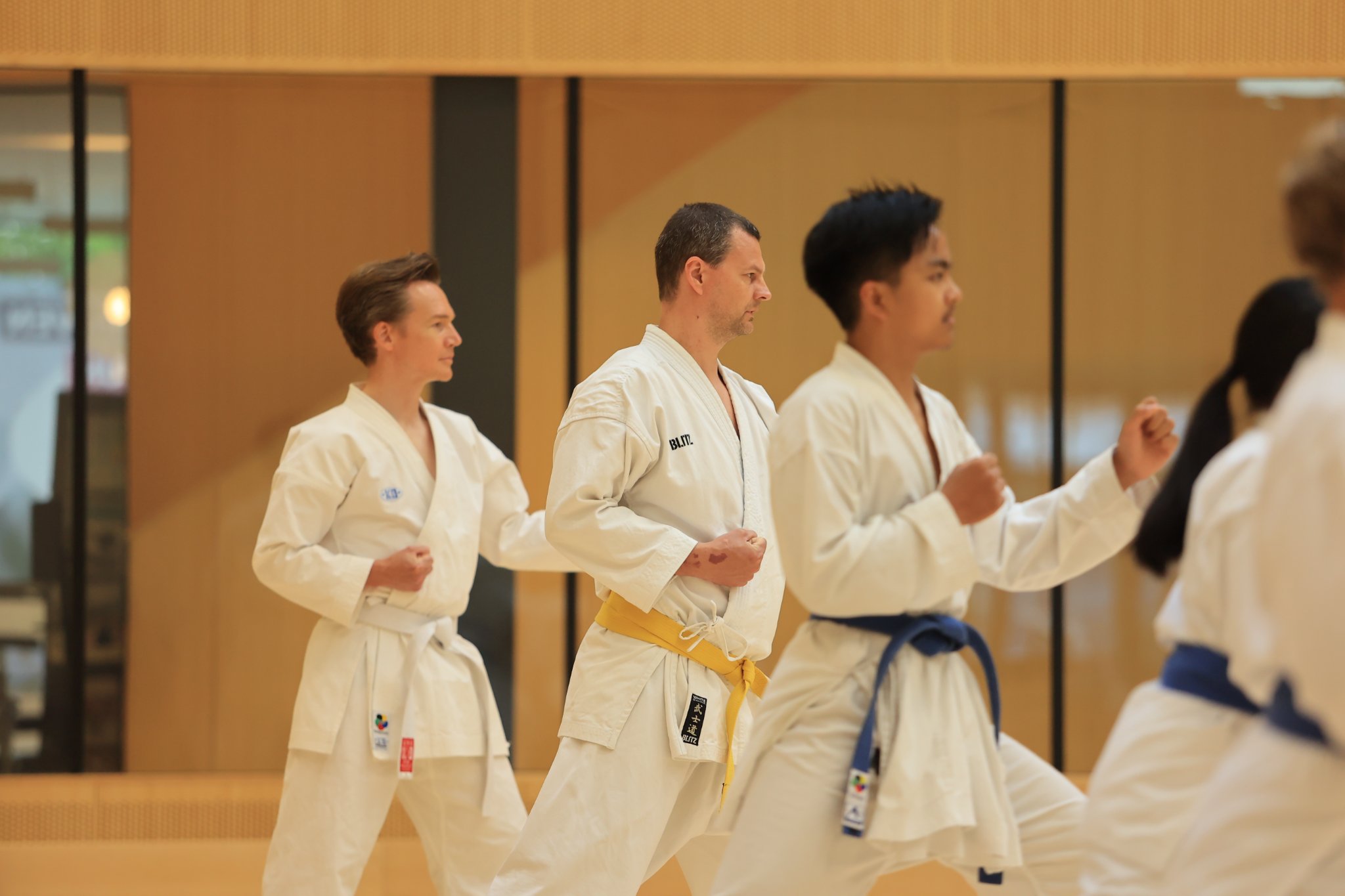 Karate classes in Eindhoven