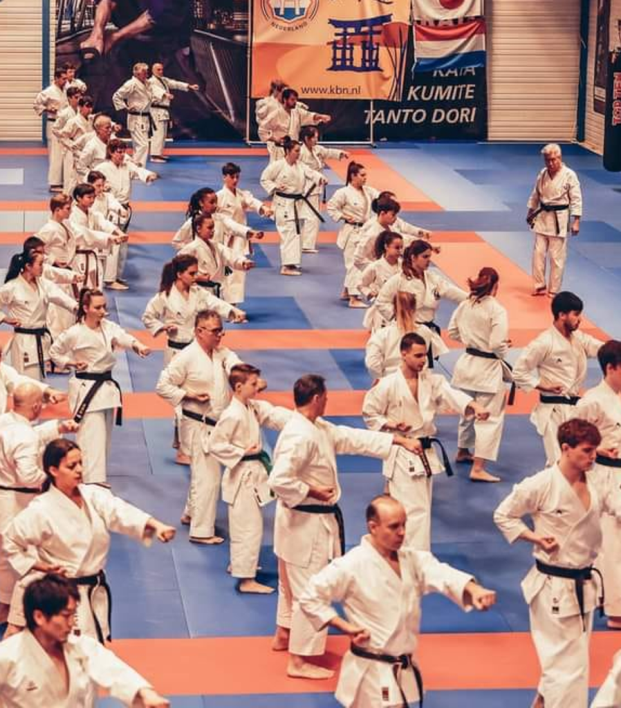 Karate Trainings in the Netherlands