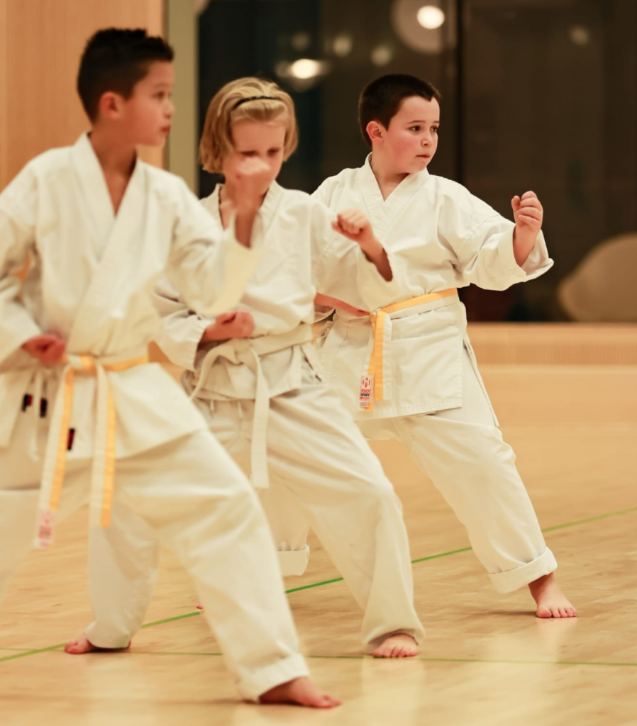 Eindhoven karate classes for children