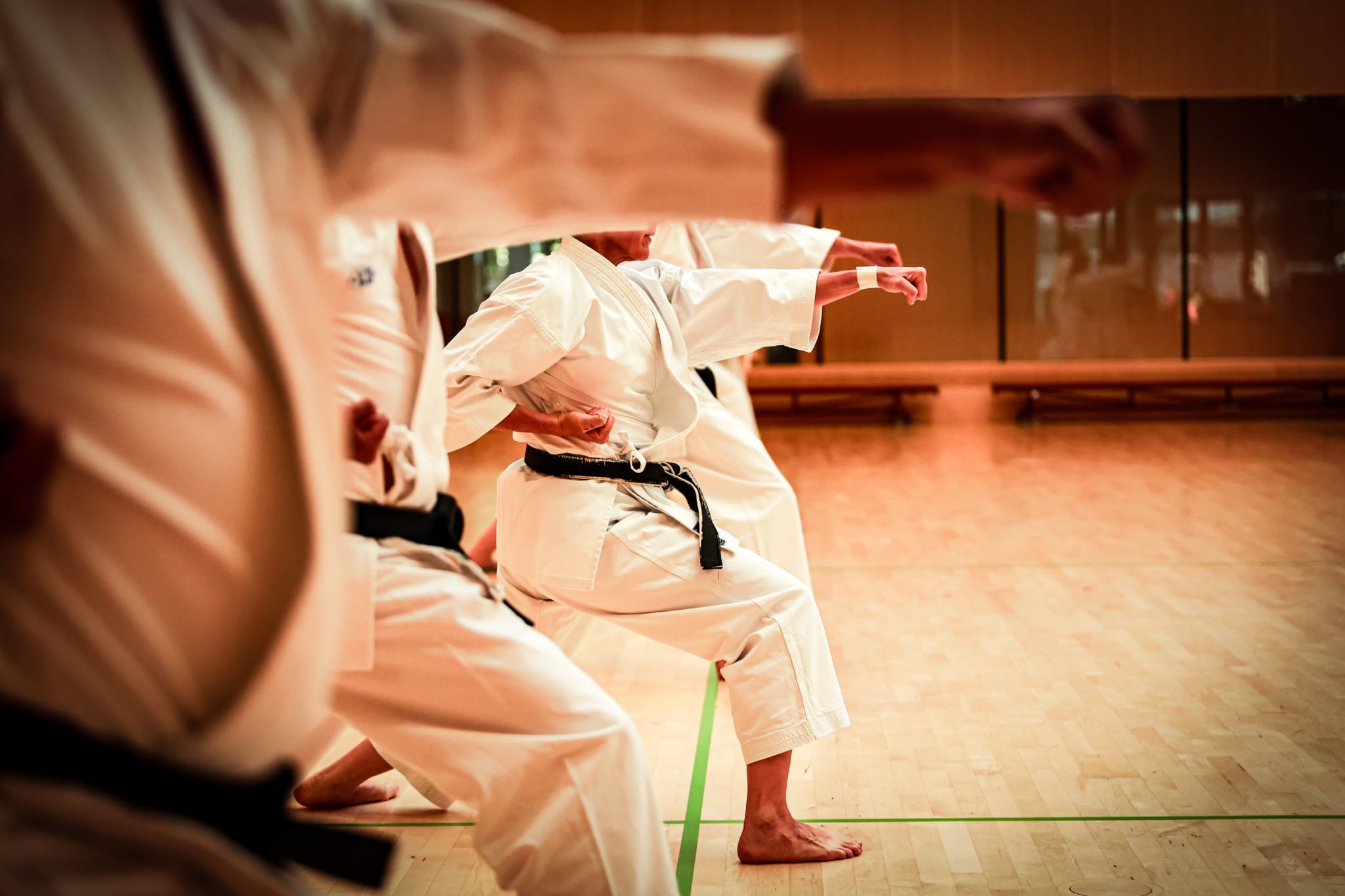 Pushing Karate Forward Into Current Times: